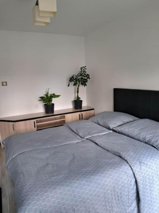 Apartament Na 4 Pietrze Nowy Targ Exterior photo